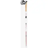 LEKI Bastões Cross Trail Fx Superlite Compact