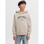 Jack & jones Junior Sweatshirt 'JJEDenver' estuque / bege mosqueado / preto