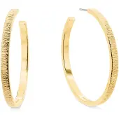 Calvin Klein Brincos 35001011
