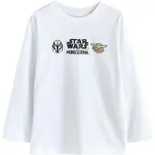 Next Camisola 'Mandalorian' camelo / menta / preto / branco
