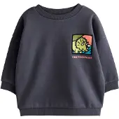 Next Sweatshirt azul / cinzento escuro / kiwi / salmão