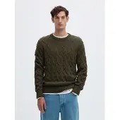 Selected Pullover 'SLMCARLOS' oliveira