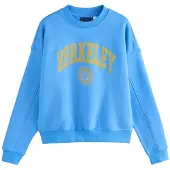 Next Sweatshirt 'Berkeley' azul néon / mostarda / amarelo dourado