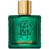 Roberto Cavalli perfume Uomo Verde Assoluto EDP 100 ml