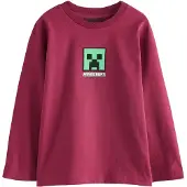 Next Camisola 'Minecraft' verde / baga / preto / branco