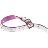 Ferplast Coleira De Cachorro Dual 25 Mm 45 Cm
