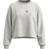 IZIA Sweatshirt cinzento / mistura de cores