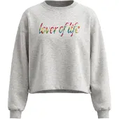 IZIA Sweatshirt cinzento / mistura de cores