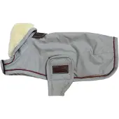 Kentucky Casaco Para Cachorro Wp