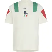 Adidas Camisa funcionais 'FIGC EQT' verde / vermelho / branco lã / branco natural