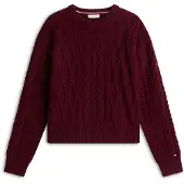 Tommy Hilfiger Suéter Ww0ww51396