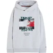 Tommy Hilfiger Sweatshirt acinzentado / verde escuro / vermelho sangue / preto