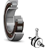 Skf Rolamento Nj 204 Ecp/c3 20x47x14 Mm