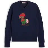 Tommy Hilfiger Pullover navy / verde / vermelho / branco