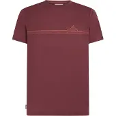 Icebreaker Camiseta De Manga Curta 150 Tech Lite Range Stripes
