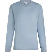 Icebreaker Camisa funcionais 'Tech Lite' azul pombo