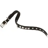 Ferplast Coleira De Cachorro Dual 15 Mm 35 Cm