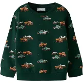 Name It Mini Sweatshirt 'NMMONIKIAN' azul ciano / verde escuro / tangerina / branco
