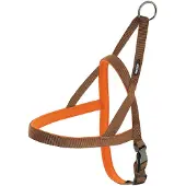 Nayeco Arnês Para Cães Neoprene