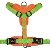 Nayeco Arnês Para Cães X-trm Cronos Neon Flash