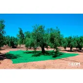 EDM Manto Para Coletar Frutas 3x6m
