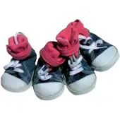 Freedog Tênis All Star