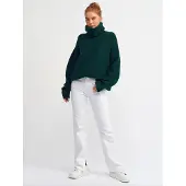 Dilvin Pullover 'Pullover' verde escuro