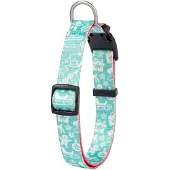 Freedog Coleira De Cachorro Blue Ginger Cookie