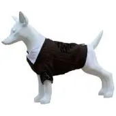 Freedog Fato E Camisa