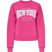 ONLY Sweatshirt 'ONLALANA' azul claro / baga / branco