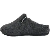 Verbenas Pantufa cinzento escuro