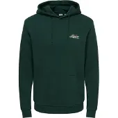 Only & Sons Sweatshirt 'ONSCERES' ecru / verde escuro