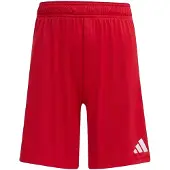 Adidas Calções Entrada 26