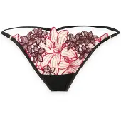 Bluebella Tanga granadina / vermelho vinho / preto