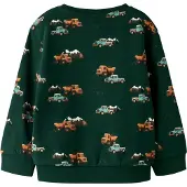 Name It Mini Sweatshirt 'NMMONIKIAN' azul ciano / verde escuro / tangerina / branco