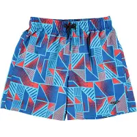 Speedo Calção De Banho Printed Leisure 15in