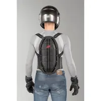 Zandona Protetor De Costas Shield Evo X6