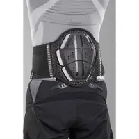 Zandona Protetor De Costas Shield Evo X3