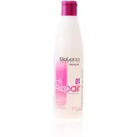 Salerm Cosmetics High Repair 01 Shampoo 250 ml