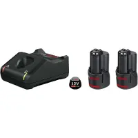 Bosch Professional Carregador E Bateria 2x2.0ah Gal 12v-40 Starter