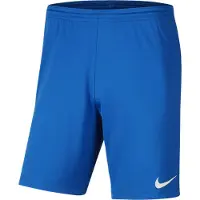 Nike Calções Dri Fit Park 3