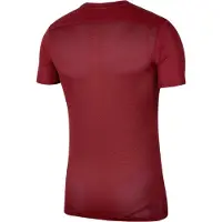 Nike Camisa funcionais 'Dry Park VII' borgonha / branco