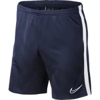 Nike Calções Dry Academy 19