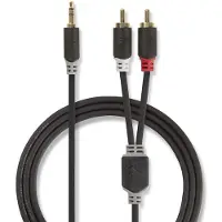 Nedis Cabo De áudio Estéreo Cabw22200at100 M-2x Rca M Banhado A Ouro 3.5mm 10 M
