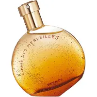 Hermès Paris L'Ambre des Merveilles eau de parfum - 50ml