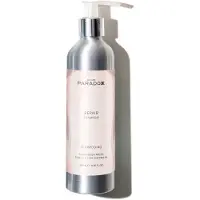 We Are Paradoxx Repair Shampoo 250 ml