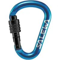 Salewa Mosquetão Hms Screw G2 Medium