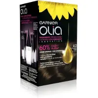 Garnier Olia Permanent Coloring 4,0 Brown