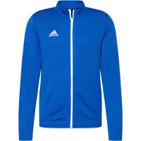Adidas Casaco Entrada 22