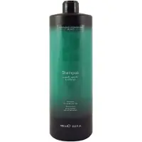DCM Shampoo For Dry And Brittle Hair — shampoo rigenerante per capelli secchi e danneggiati 1000 ml